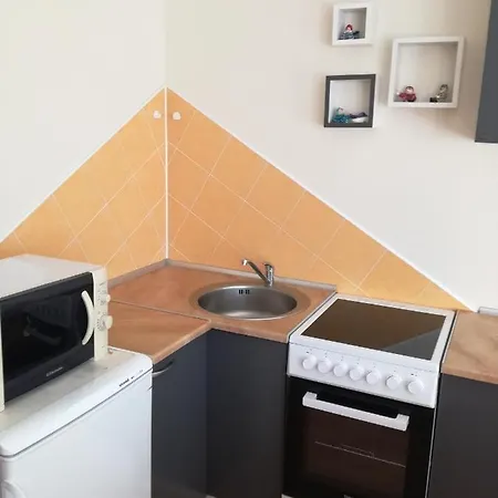 For Rent Druskininkai