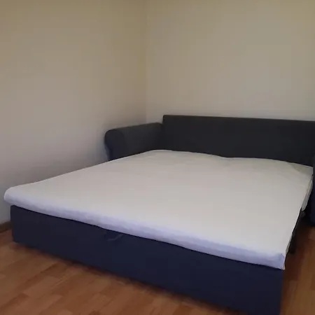 For Rent Druskininkai