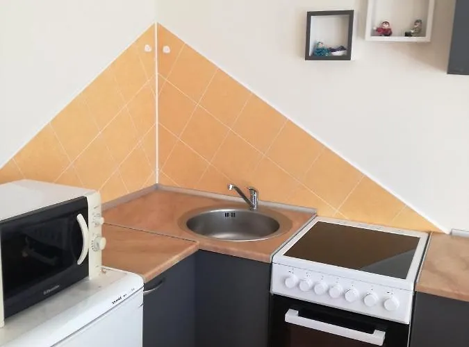 For Rent Druskininkai