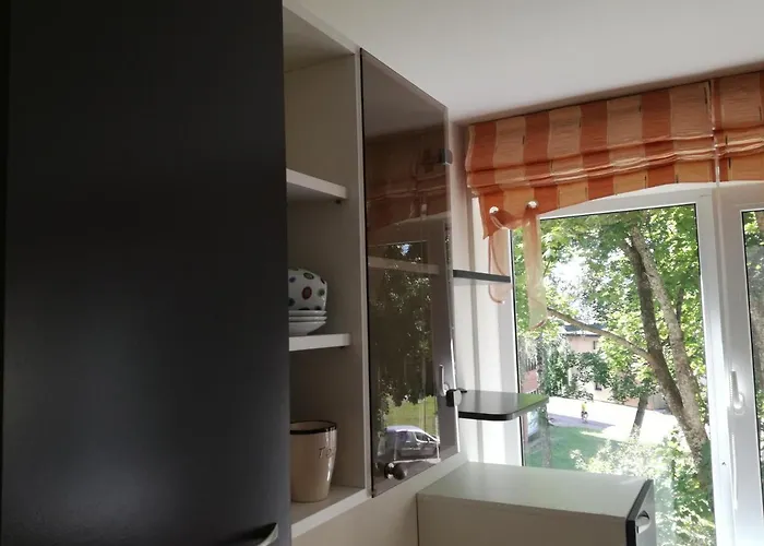 For Rent * Druskininkai